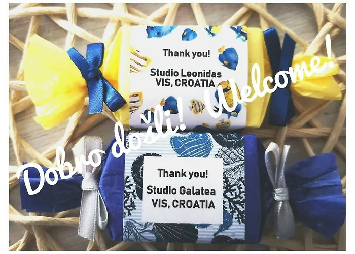 Studio Leonidas Vis Apartman *